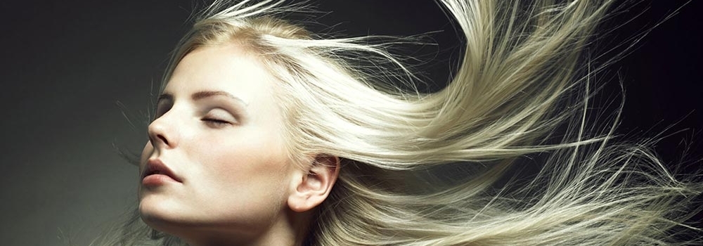 WOMAN AND THE WIND